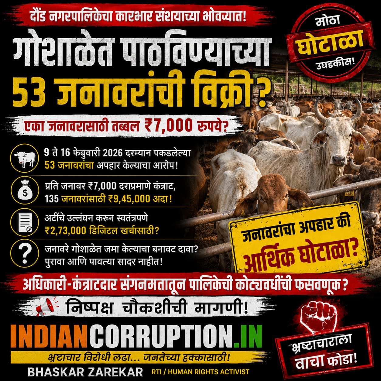 🚨 गोशाळेत पाठविण्याच्या ५३ जनावरांची विक्री?